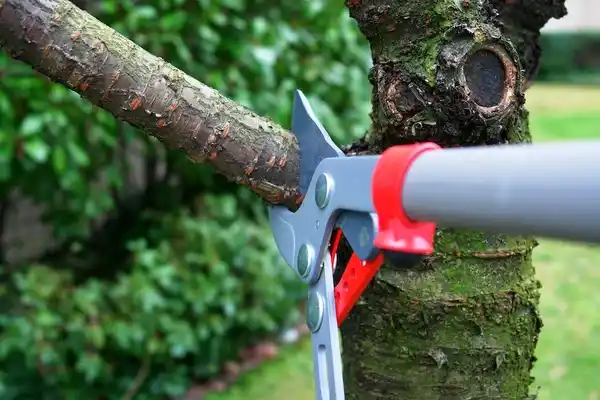 tree services Hobart